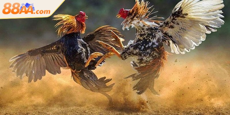 Tỷ lệ trả thưởng luôn ở mức cạnh tranh, hấp dẫn hàng đầu thị trường